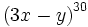 \left(3x-y \right)^{30}