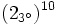 (2_{3^\circ})^{10}