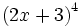 \left(2x+3 \right)^4