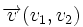 \overrightarrow{v}(v_1,v_2)