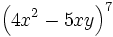 \left(4x^2-5xy \right)^7