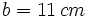 b = 11 \, cm