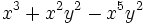 x^3+x^2y^2-x^5y^2\;