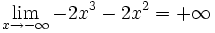 \lim_{x \to - \infty} -2x^3-2x^2 = + \infty