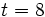 t = 8\;