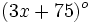 (3x+75)^o\,