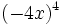 (-4x)^4\;