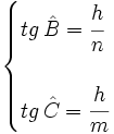 \begin{cases} tg \, \hat B = \cfrac{h}{n}  \\ \, \\ tg \, \hat C = \cfrac{h}{m} \end{cases}