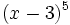 (x-3)^5\;