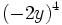 (-2y)^4\;