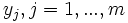 y_j, j = 1, ..., m\;