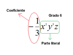 Elementos y grado de un monomio