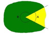 A: convexo; B: cóncavo